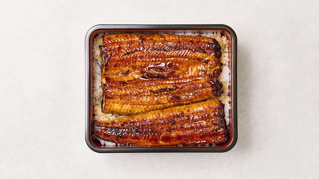 Grilled eel on rice